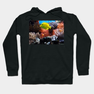 Colorful Fish in the Coral Hoodie